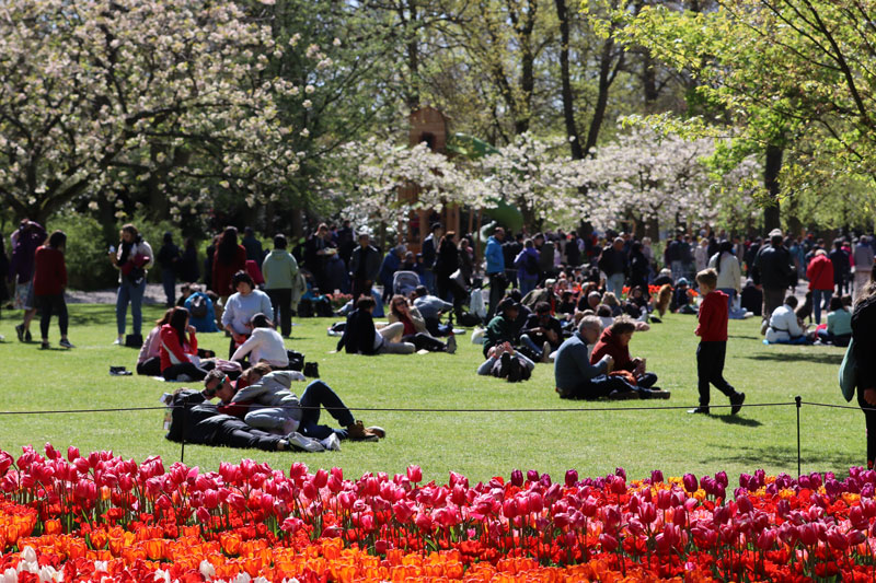 Gezellig picknicken bij Keukenhof