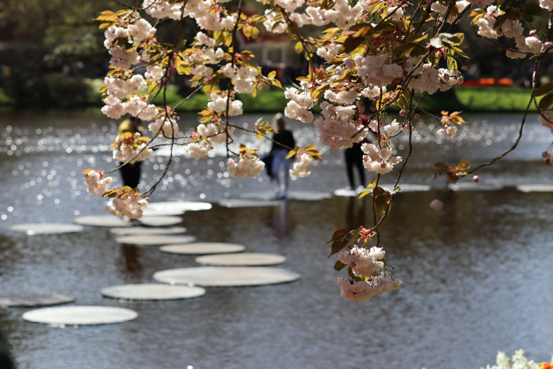 Lopen op water bij Keukenhof