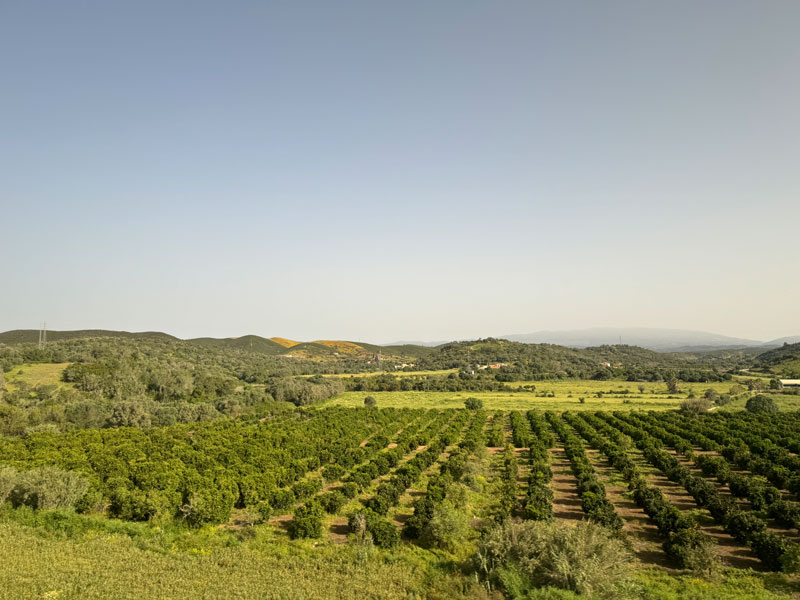 De Algarve is echt veel groener dan ik had verwacht