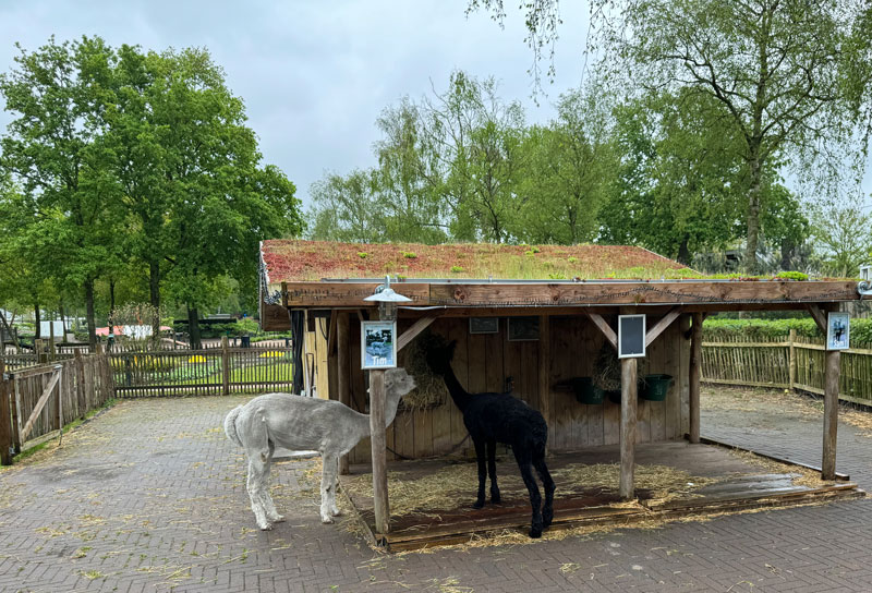 EuroParcs Zuiderzee met kinderen: mijn ervaring