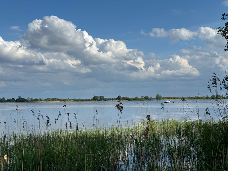 EuroParcs Zuiderzee met kinderen: mijn ervaring