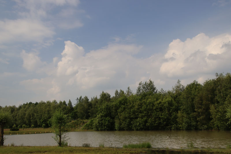 Landal Klein Oisterwijk met kinderen: onze ervaring!