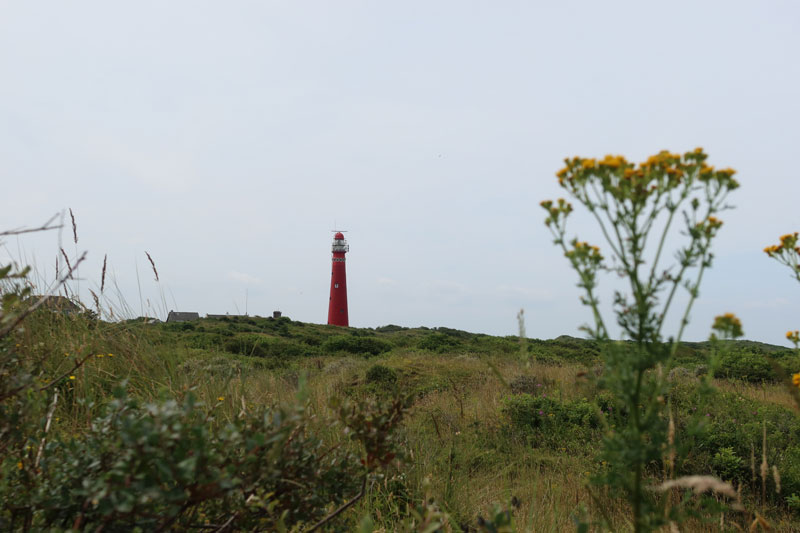 De vuurtoren van Schiermonnikoog