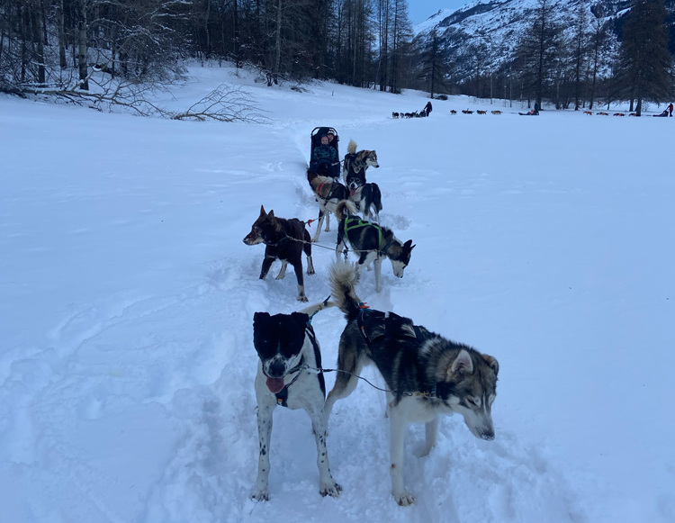 Hondenslee tocht Serre Chevalier met kinderen