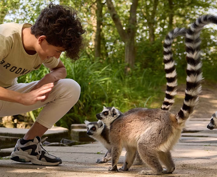 Op safari in Nederland