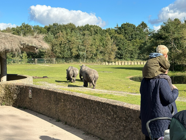 Dierentuin in Givskud Zoo