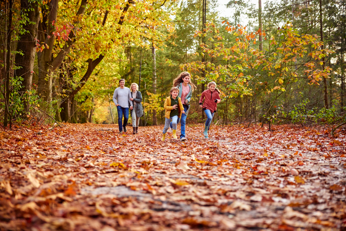 Herfstvakantie 2024 Sallandse Heuvelrug