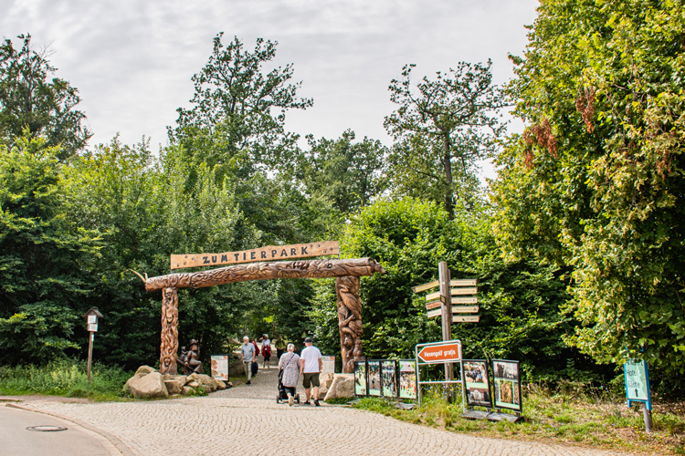 Zum tier park in Harz