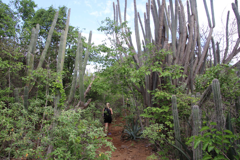 Bonaire met kinderen: onze ervaring!