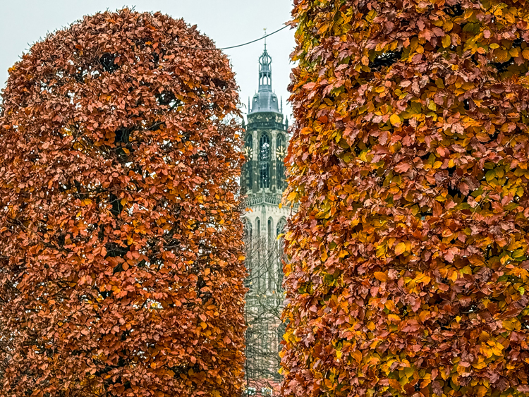 Rhenen bezoeken met kinderen