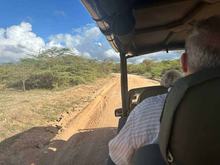 Safari Zanzibar en Tanzania