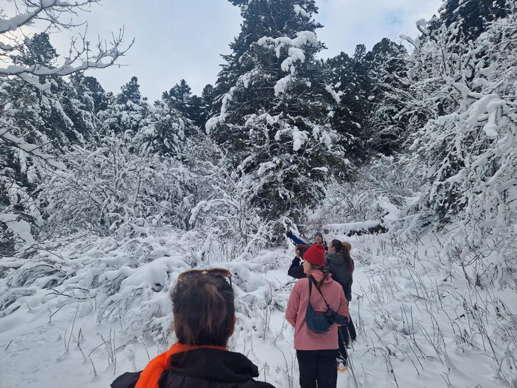 Sneeuwwandelen Méribel met kinderen