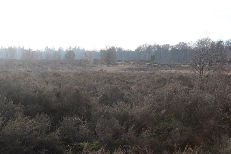 Landal Amerongse Berg met jonge kinderen