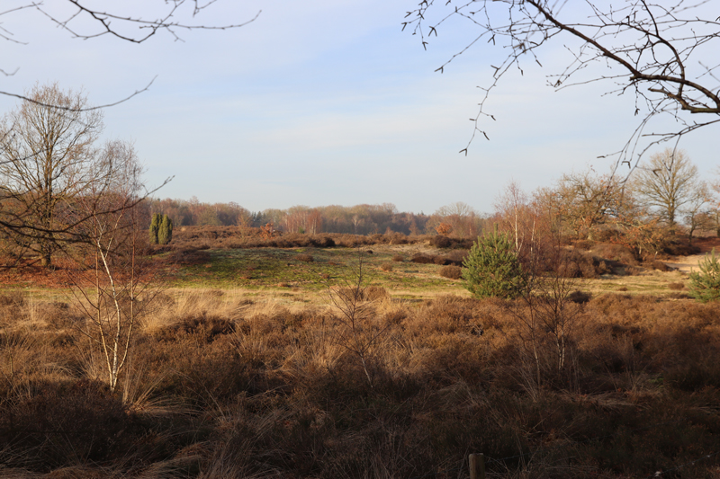 Landal Amerongse Berg met jonge kinderen