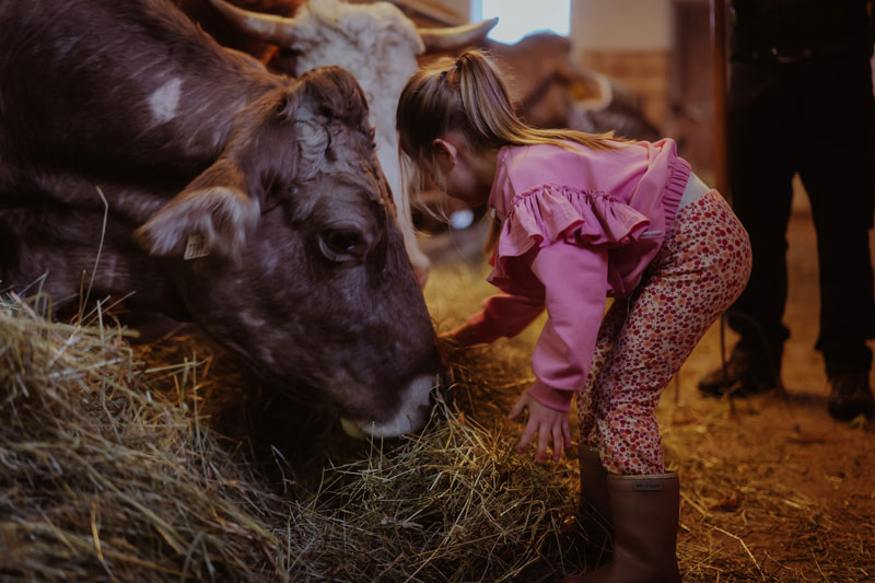Op vakantie naar Zuid-Tirol met kinderen: boerderijverblijf Roter Hahn