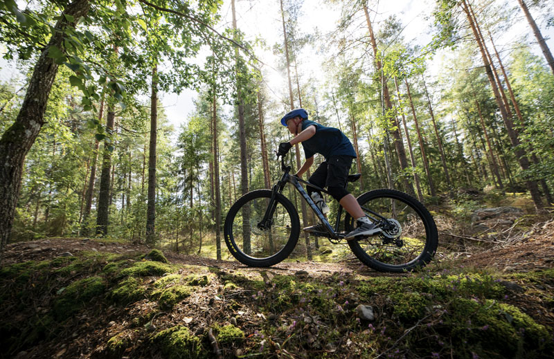 Sm&aring;land met kinderen - waarom deze Zweedse regio zo leuk is in de meivakantie