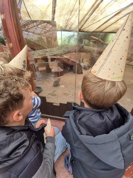 10 jaar Almere Jungle - beleef het jubileumfestival met jonge kinderen