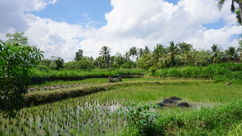 stop in Bonjeruk Village onderweg naar Tetebatu