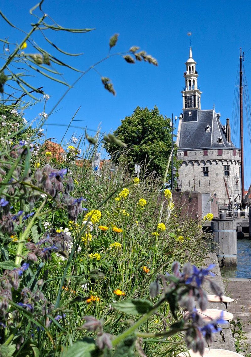 Hoofdtoren bij de historische haven van Hoorn