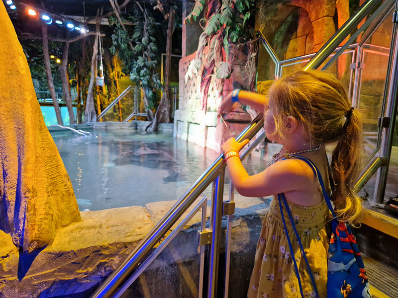 SEA LIFE Scheveningen