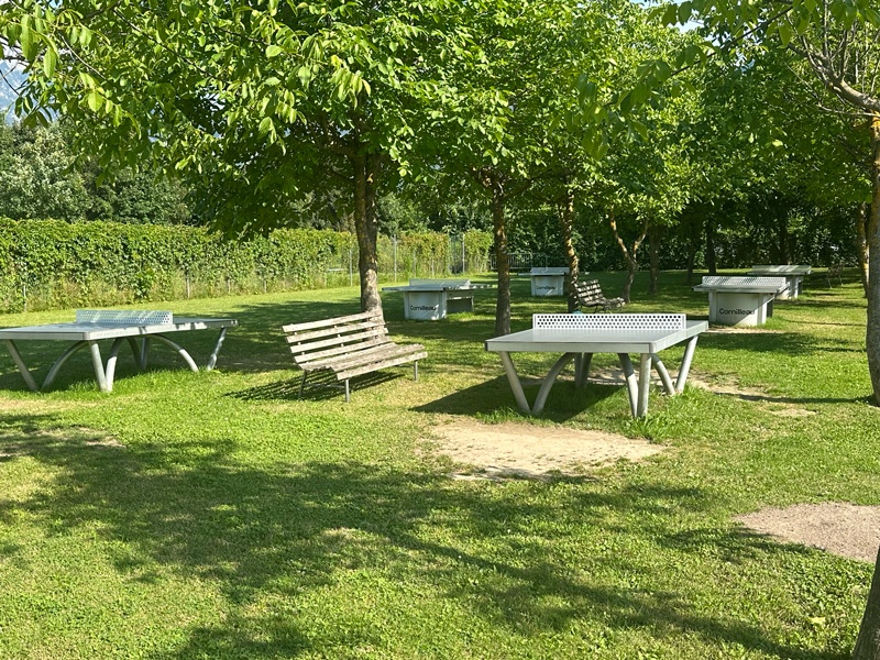 Tafeltennissen Mario Village